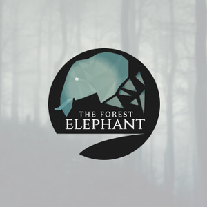 1495074637-Theforestelephant