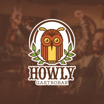 1496724416-howly