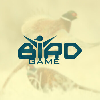 1496723107-birdgame