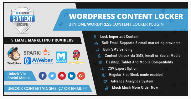 Wordpress wp content